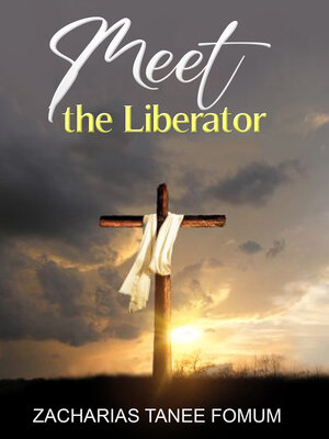 cover image of Meet the Liberator!